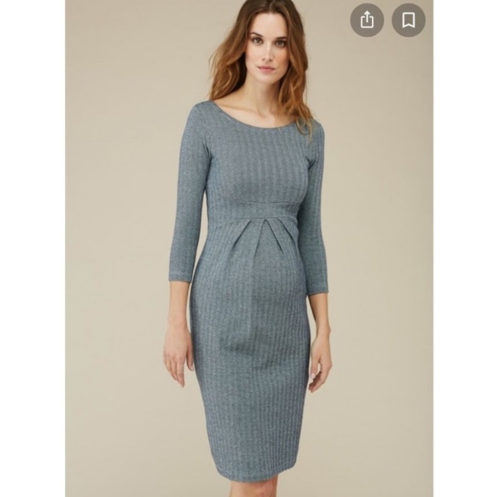 Isabella Oliver Maternity Dress